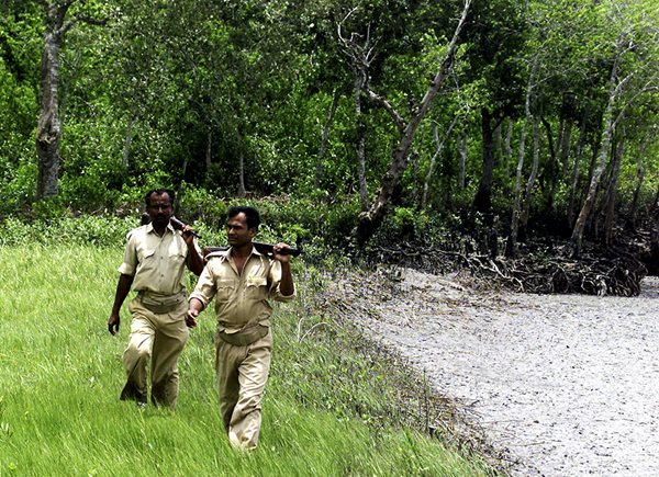 Tiger Poachers Killed During Raid of Bangladesh Hideout