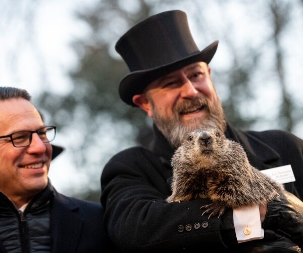 Phil's Groundhog Day Prediction 6 More Weeks of Winter