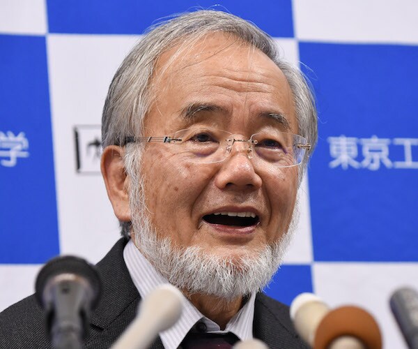 Yoshinori Ohsumi's 'Self-Eating Cells' Win Him Nobel in Medicine