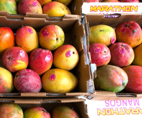 Mangos Improve Cardiovascular and Gut Health in Women