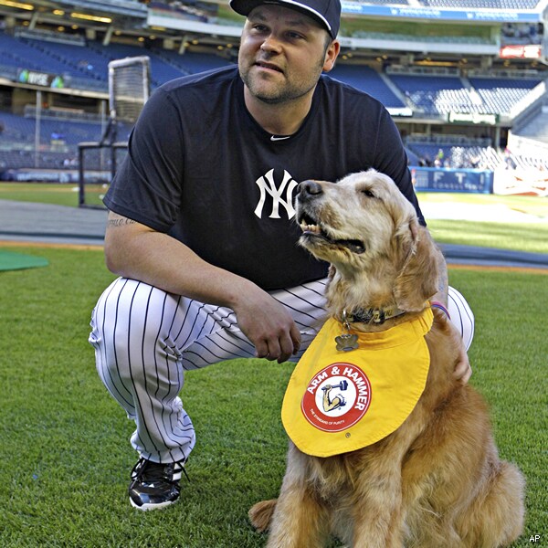 Trenton Bat Dog Dies: Chase Retrieved Bats for Thunder for 11 Years