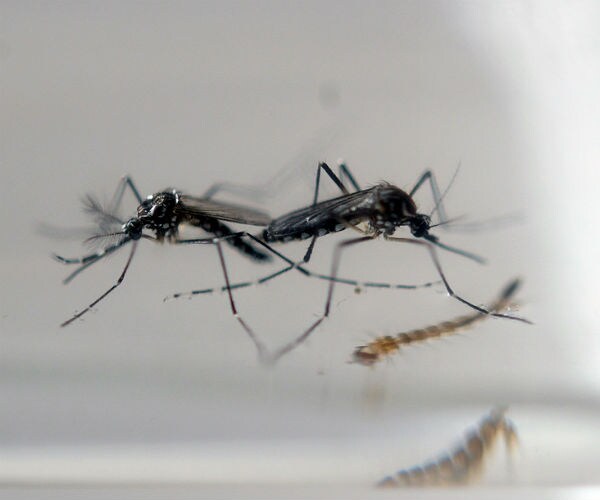 Officials Encourage Travelers Not to Shun Florida for Zika