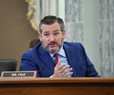 Cruz: CDC Should 'Follow the Science' and Lift Mask Mandate on Travelers