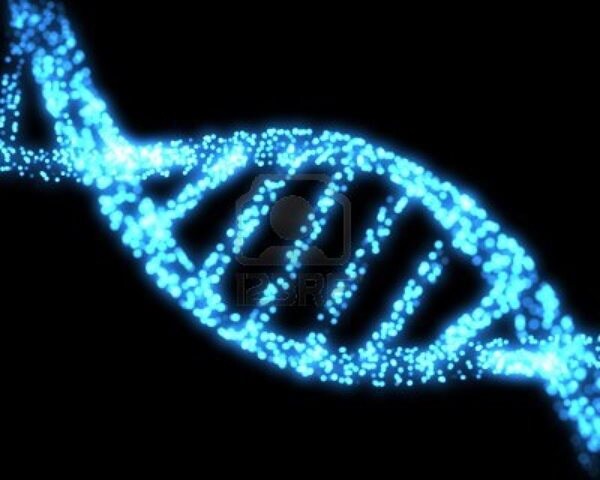 Scientists Build DNA from Scratch to Alter Life's Blueprint