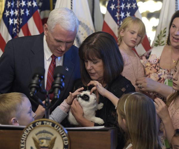 Mike Pence's Family Rabbit 'Marlon Bundo' Visits Military Kids