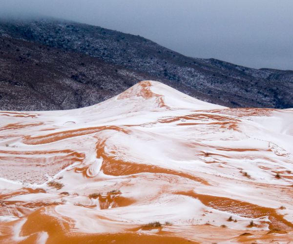 Sahara Desert: Snow Falls Atop Sand for First Time in 37 Years