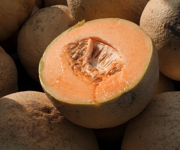 cut cantaloupe 