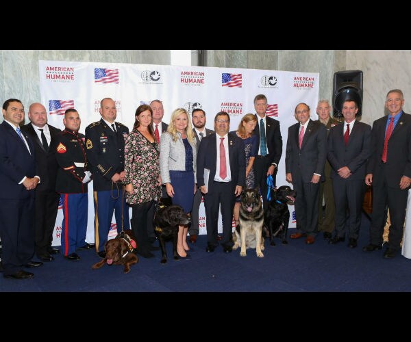 Five Hero Dogs Receive Medal of Courage Honors