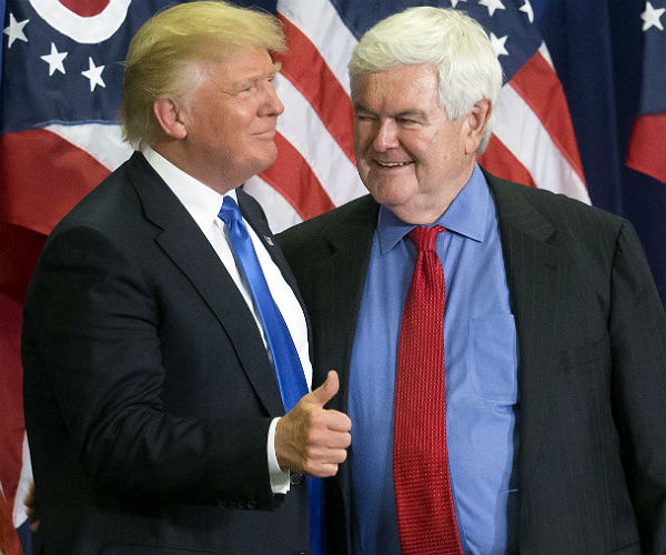 Gingrich Calls on Trump to Make Firing Government Workers Easier 