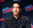 'Friends' Star David Schwimmer Once Served Divorce Papers to Rod Stewart