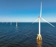 Trump Plans Halt to Offshore Wind Farms; Cites Whale Deaths