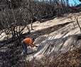 Calif. Rain Creates Mudflows, Helps Firefighters