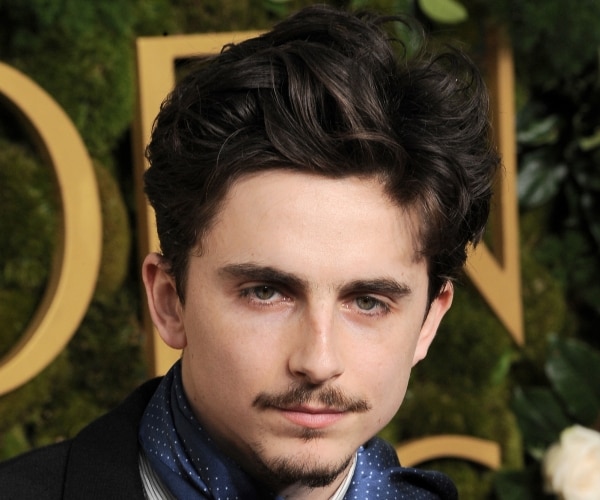 Timothee Chalamet Fined After Riding Bike to London Premiere