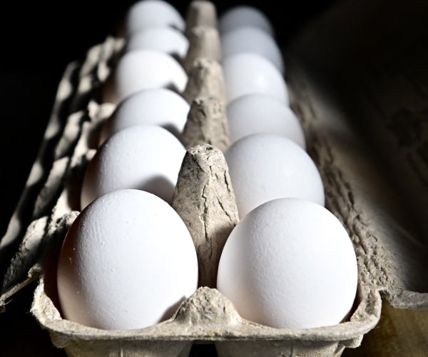 Trump’s New USDA Chief Takes Aim at Rising Egg Prices