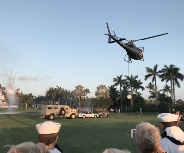 seals1.jpg seals1.jpg